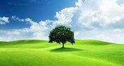 IconBanner1