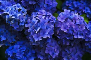sample-all-entity-all-format